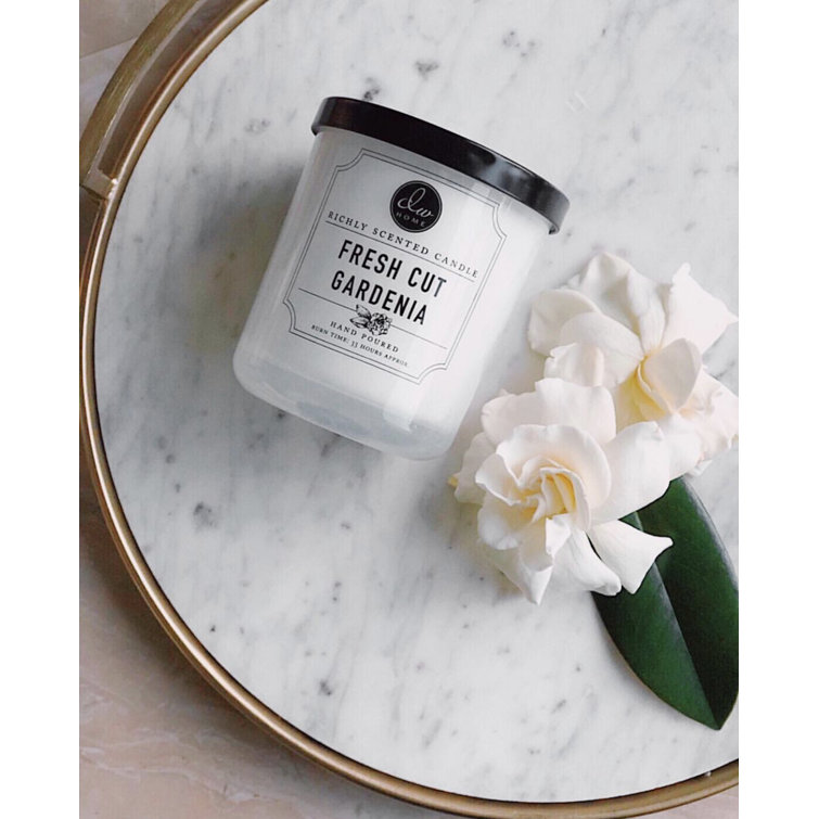 DWHome Signature Fresh Cut Gardenia Scented Jar Candle & Reviews Wayfair